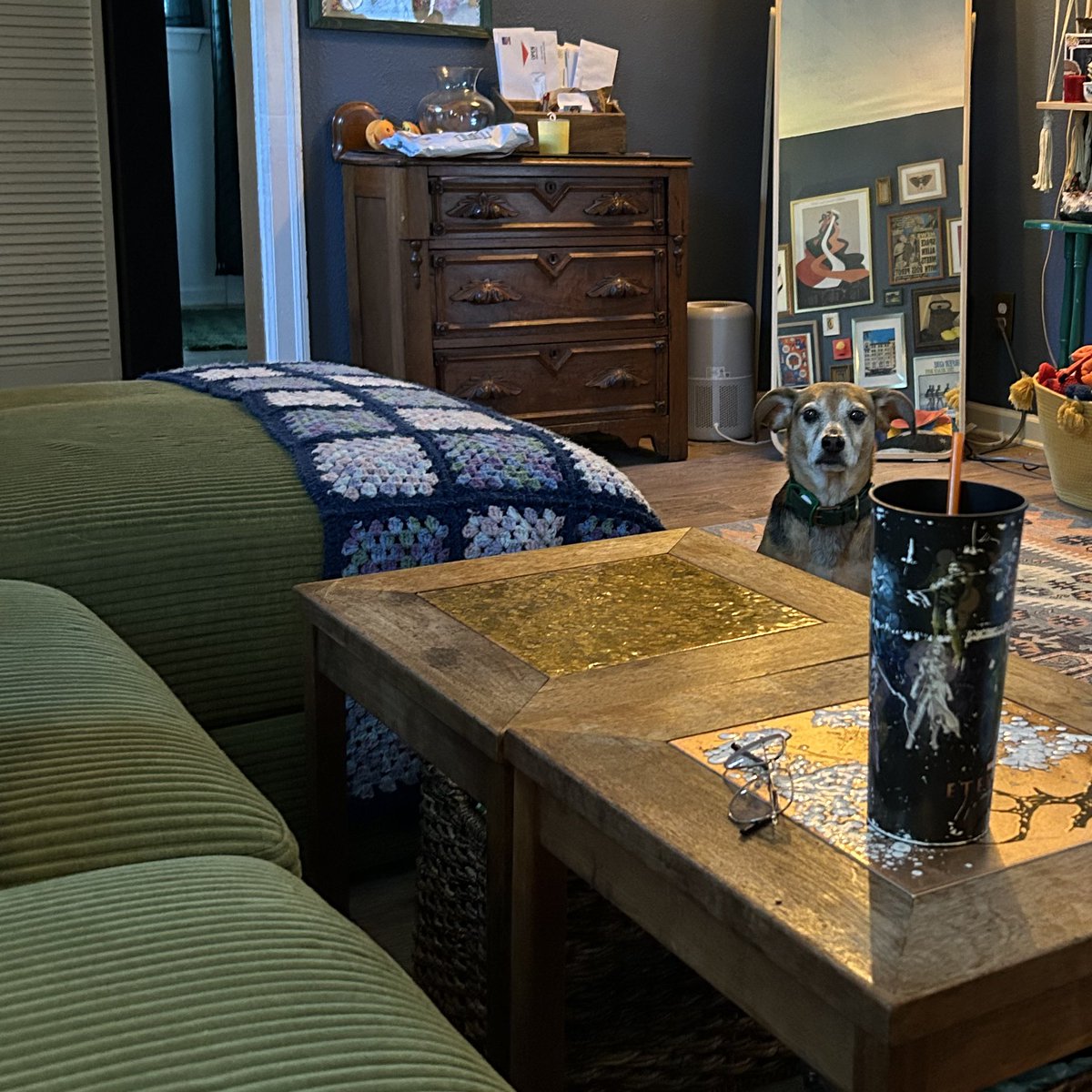 daisy “dan goose” tackett tweet media