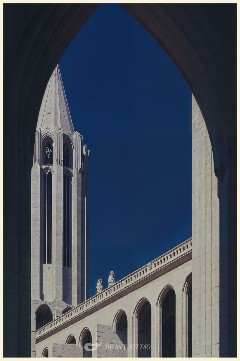 BraveStudio_en's tweet image. 