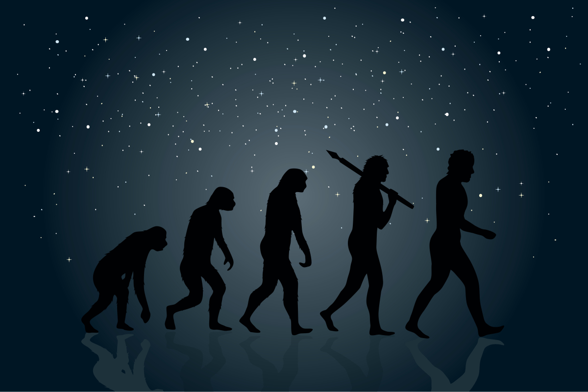 mcgillu's tweet image. Ancient viruses in our DNA may hold clues to what makes us human. 🧬 A McGill-led study used a new method to trace viral DNA through evolution, revealing hidden sequences that could help regulate our genes.
Learn more: mcgill.ca/x/isa