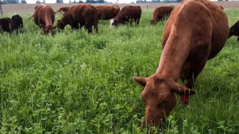 Saskatchewan farmers receive boost in 2025 AgriStability support dlvr.it/TM2Vlj