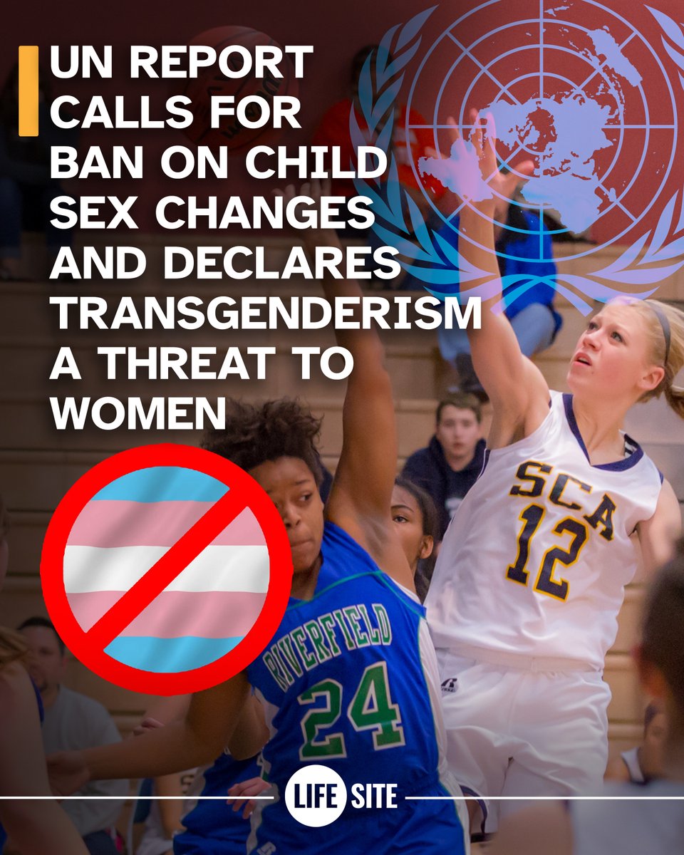 LifeSite's tweet image. A United Nations draft report by the special rapporteur on violence against women affirmed what many critics have long warned: that there is a “concerted international push (to) erase” women and girls, and that gender dysphoria is “socially contagious.”
lifesitenews.com/blogs/un-repor…