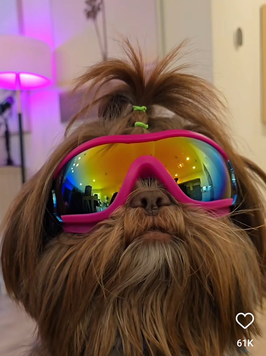 Im back home; feed is draped in monad posts.

🔏