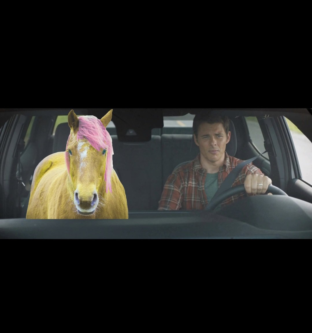 "We need to protect the little creatures, Mr. James Marsden"