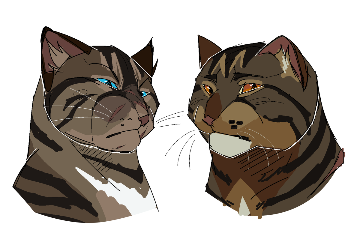 sadmachlne666's tweet photo. hawkfrost and brambleclaw warm up https://t.co/Lbgx4yXgs7