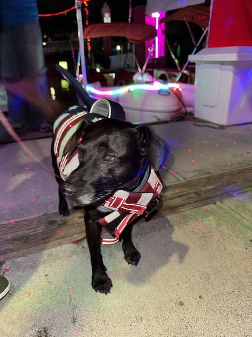 Watch adriana chechik's leaked NSFW photo on TwXstars