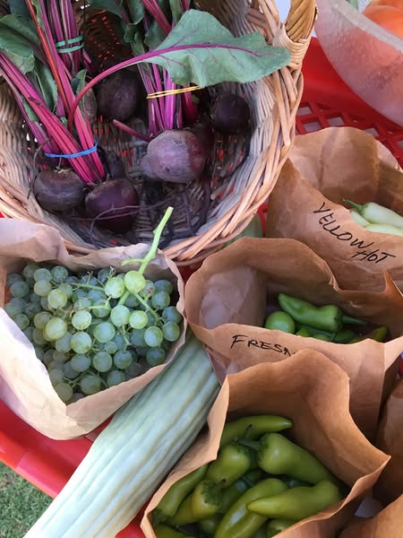 Recent Payson market Saturdays featured
📷 tomatoes, beets, onion, garlic
📷 pies filled with local fruit (figs, peaches, apples)
📷 beef jerky
📷 tree saplings and plant starts
📷 beef jerky
📷 local honey
📷 chile powder, chile plants
📷 fresh local eggs