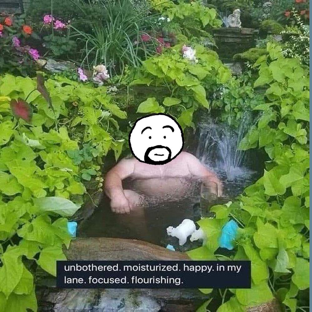 BluesyCrypto's tweet photo. Day in life of Average $Joe https://t.co/gNYOYuVKDy