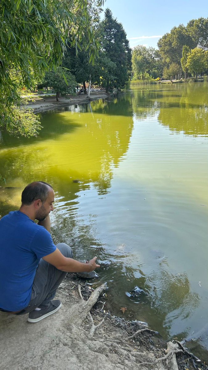 Koşun iktisat anlatacağım deyince başıma üşüştüler. 
Ahmet Emrah Bey Kaplumbağa terbiyecisi görseli
Not: Subliminal mesaj içermez. 🤣