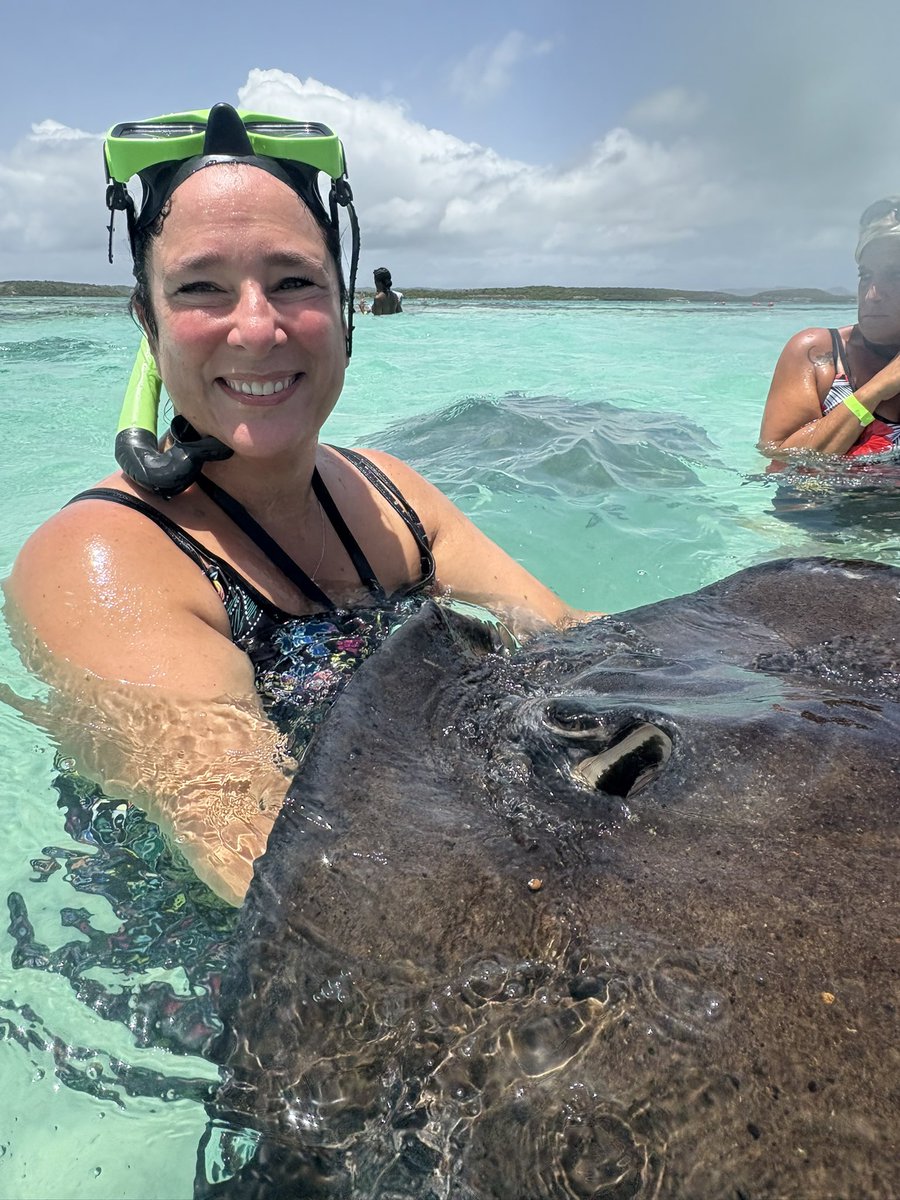 RodLacroix's tweet image. Today in Antigua we swam with stingrays and fed giant tortoises.
I’ve had worse Mondays.