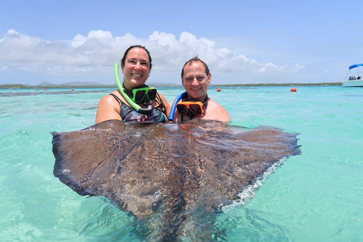 RodLacroix's tweet image. Today in Antigua we swam with stingrays and fed giant tortoises.
I’ve had worse Mondays.