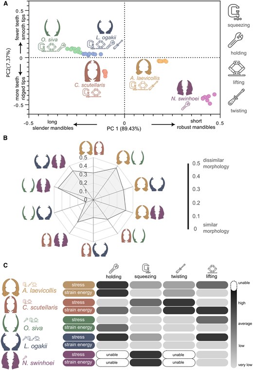 PNASNexus's tweet image. A trending PNAS Nexus article in the last week is “Engineering the battle: Design-specific analysis of stag beetle mandibles for combat efficiency.” Explore the article here: ow.ly/zl4550Wrt61
Submit your own research, visit PNAS Nexus at ow.ly/fSMV50Wrt62.