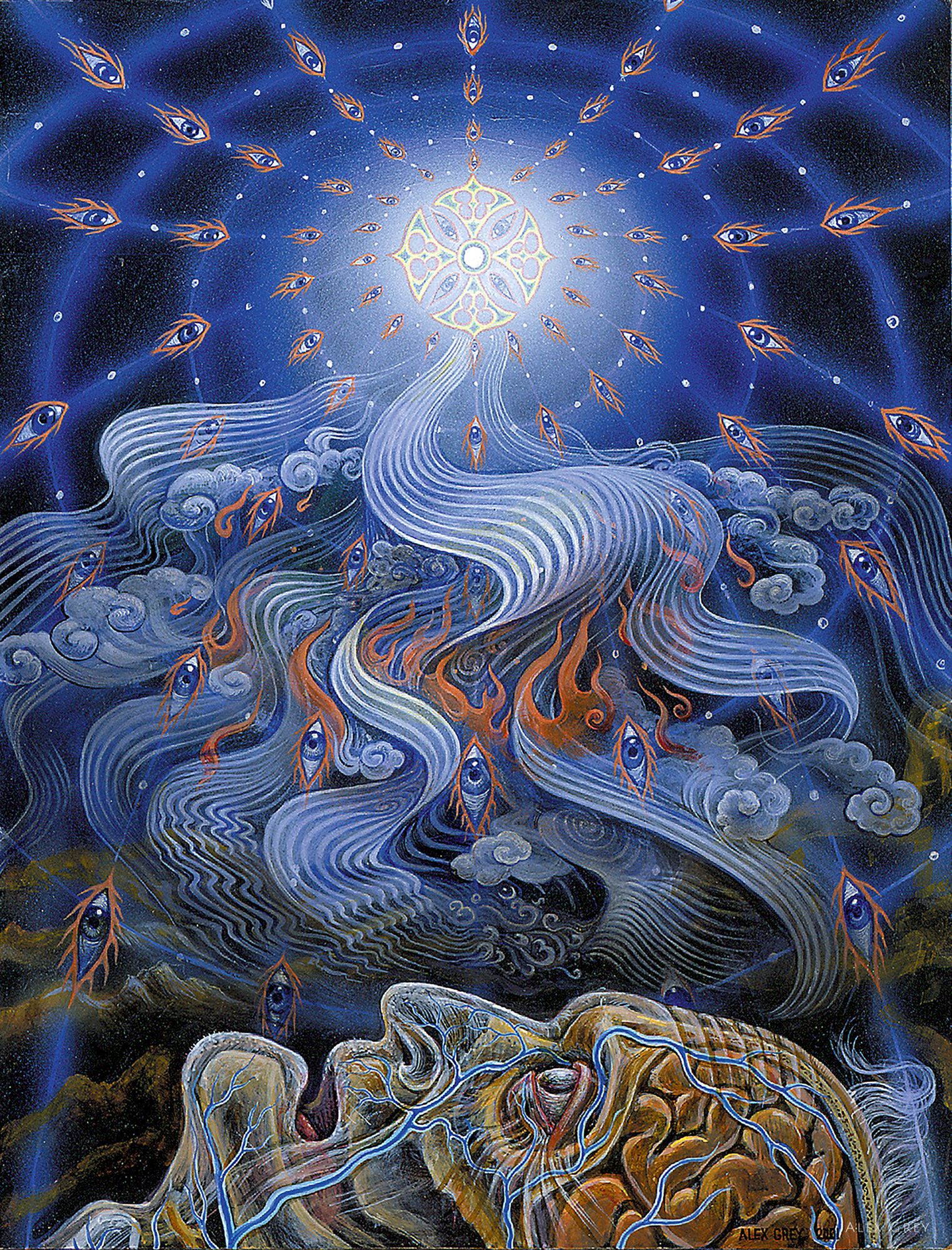 ミュージック WORLD SPIRIT / ALEX GREY World Spirit : Alex Grey / Kenji Williams | HMV&BOOKS online