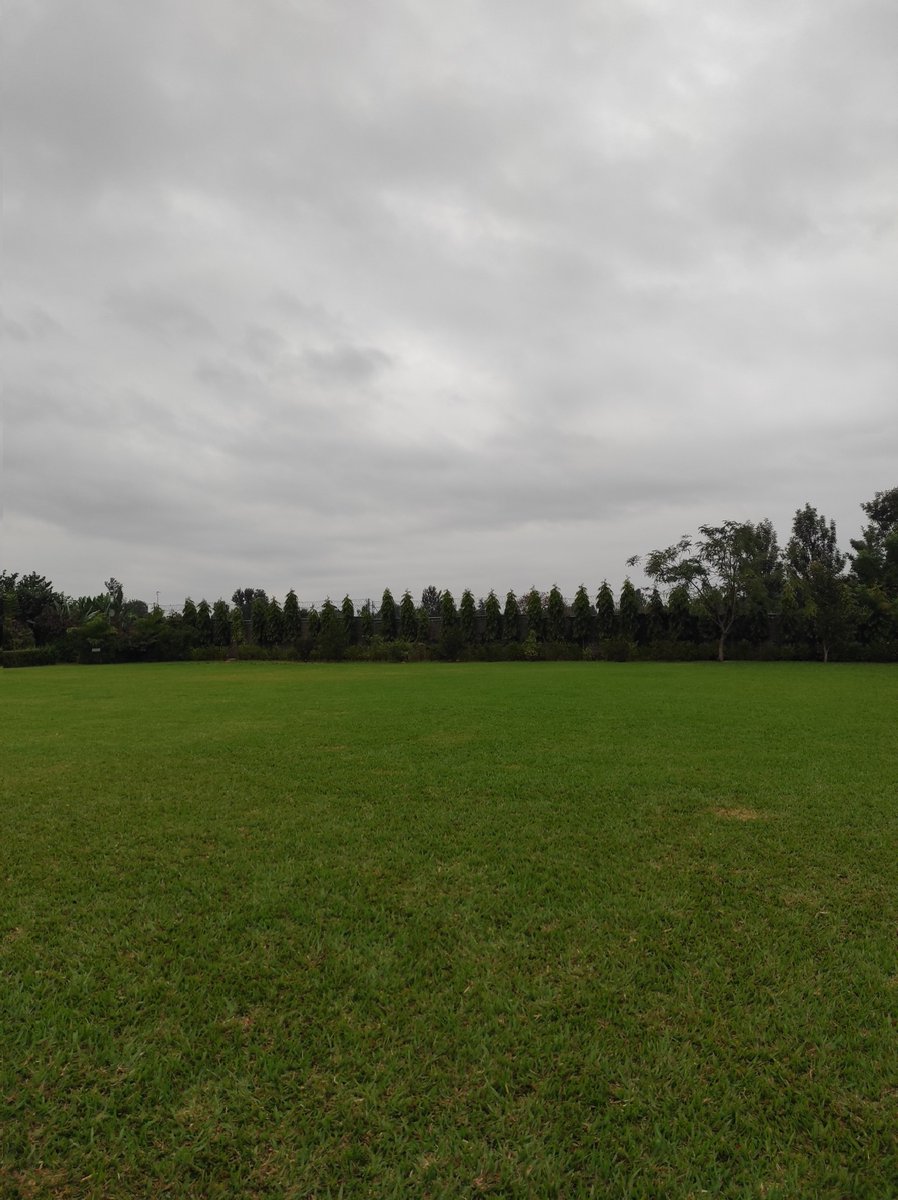 glord____'s tweet image. Early morning.
Touching some grass.