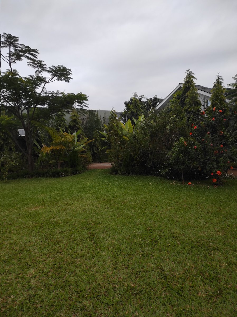 glord____'s tweet image. Early morning.
Touching some grass.
