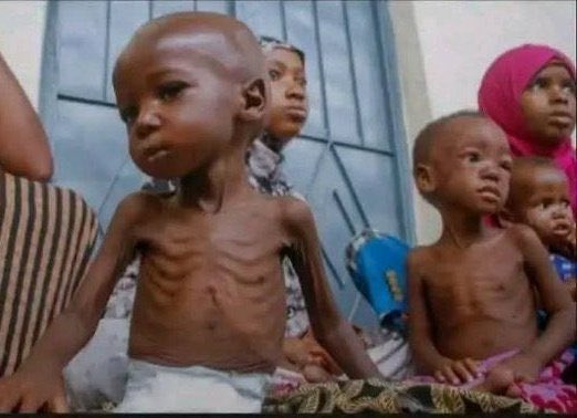 #AlFashir_is_starving tens of thousands could die if the siege by this UAE sponsored RSF militia is not brought to an end. Don’t ignore, speak up make a difference!