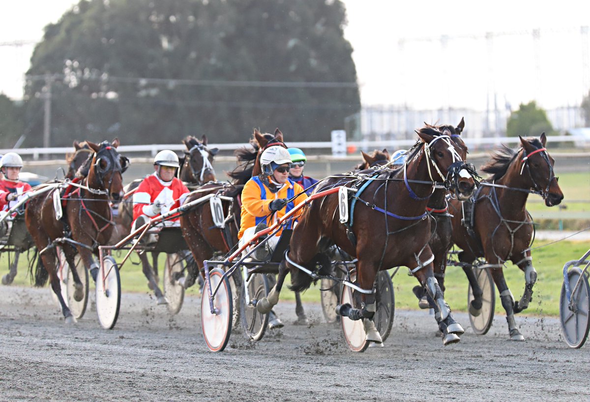 The Southern Surge is off to a flyer, with what was 141 nominations for Sunday’s meeting at Winton — more than double last year’s total.
Every race is worth $15,000, and with the response well beyond expectations, the card’s grown from 8 heats to 11
 hrnz.co.nz/.../big-number…