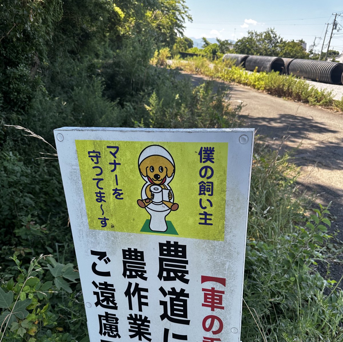 _hardcorefunk_'s tweet photo. 守りすぎや https://t.co/lKlnPVktoK