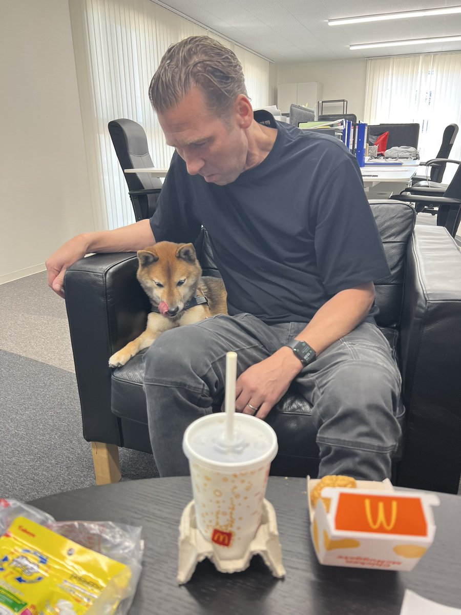 僕にもチキンナゲットください…
By Halu
#マクドナルド
#柴犬
