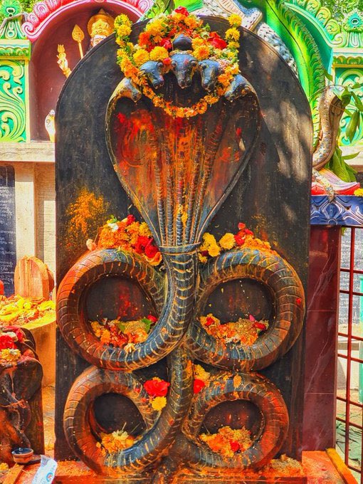 Nidarshana2207's tweet image. नाग देवता की उपासना के पावन पर्व नाग पंचमी की सभी को हार्दिक शुभकामनाएं !
यह पर्व प्रकृति, प्राणियों तथा पंचतत्वों के प्रति सह-अस्तित्व और संवेदना का संदेश देता है !
देवाधिदेव महादेव की कृपा से सभी के जीवन में सुख, समृद्धि, सद्भाव, संपन्नता एवं आरोग्यता का वास हो, यही प्रार्थना…