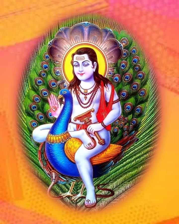 DHIMAN_HJKS's tweet image. जय शिव शक्ति सिद्ध श्री बाबा बालक नाथ जी 🙏
प्रशंसा और आलोचना दोनों स्वीकार करें।
एक फूल को खिलने के लिए धूप और बारिश दोनों की ज़रूरत होती है।