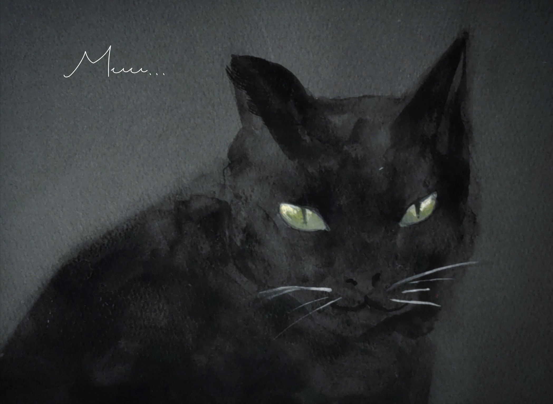 黒猫様omblk翌日発送 クッション上で休む、さび姉さんと、ナイト？のオジーニャンず
