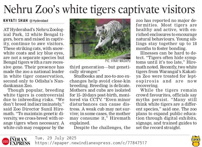 Khyati Shah (@writetokhyati) on Twitter photo Sneak peek into Nehru Zoo’s White Tiger captivity
Read here: newindianexpress.com/states/telanga…
<a href="/XpressHyderabad/">TNIE Telangana</a>
<a href="/NewIndianXpress/">The New Indian Express</a>
<a href="/Kalyan_TNIE/">Kalyan Chakravarthy</a>
<a href="/PrasannaRS2/">Prasanna R S</a> Sneak peek into Nehru Zoo’s White Tiger captivity
Read here: newindianexpress.com/states/telanga…
<a href="/XpressHyderabad/">TNIE Telangana</a>
<a href="/NewIndianXpress/">The New Indian Express</a>
<a href="/Kalyan_TNIE/">Kalyan Chakravarthy</a>
<a href="/PrasannaRS2/">Prasanna R S</a>