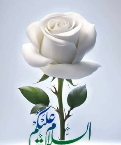 Asslam alikum 
Good morning  friends 
Have a nice  day 
Be happy keep happy
#تسکین_قلب
#داستان_دل
<a href="/MirzaSaagr/">Saagr Mirza</a> 
<a href="/TM_LovePak/">TEAM LOVELY PAKISTAN(official )</a> 
<a href="/BiyaRana_PK/">Biya Rana</a> 
<a href="/Sararaza21/">سارہ رضآ 🐦‍⬛</a> 
<a href="/Umarayu19369911/">محمد عمر ایوب مدیال</a> 
<a href="/55imaan/">亗『 ᵀᵉᵃᵐᴸᴸᴾ ایمان 』亗</a> 
<a href="/N_Ri_da/">𝓡𝓲𝓭𝓪</a> 
<a href="/Azizazjan/">Faiza Khanmᵀᵉᵃᵐᴸᴸᴾ</a> 
<a href="/_AreekaDrishak/">𝐀𝐫𝐞𝐞𝐤𝐚 𝐃𝐫𝐢𝐬𝐡𝐚𝐤 ♡</a> 
<a href="/_Jasmine001/">JASMINE💛✨💛</a> 
<a href="/_jnkw/">انصافین</a> 
<a href="/1awaz__/">𝐀𝐫𝐲𝐚𝐧 𝐩𝐭𝐢</a> 
<a href="/TZM_Zamzama/">Tariq Zaman Malik</a>
<a href="/samissblove/">fizass</a>
