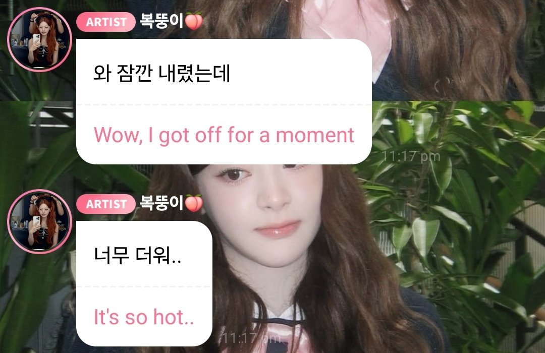 yselogy's tweet image. 💌 new message from 복뚱이🍑