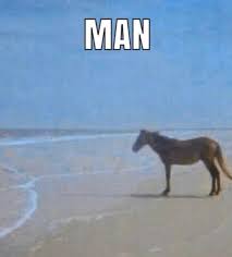_my_go's tweet image. man...