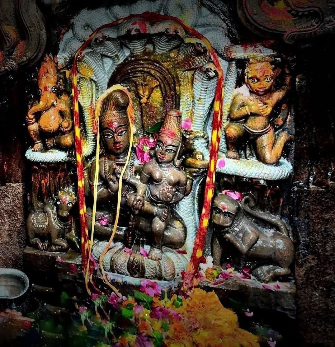 नाग पंचमी की आप सभी को हार्दिक शुभकामनाएं 🙏
#हर_हर_महादेव_शिव_शंभू_ॐ❤️🙏🚩