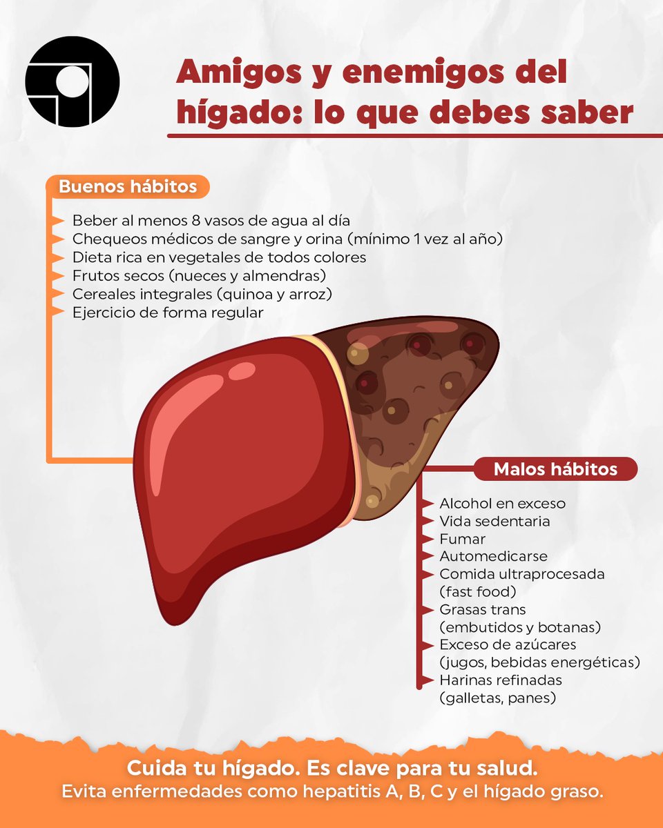 #Efemeride | 🧠🍷 ¿Sin darte cuenta estás dañando tu hígado? Estos hábitos comunes pueden estar afectando silenciosamente este órgano vital.

#OnceNoticiasDigital🔻