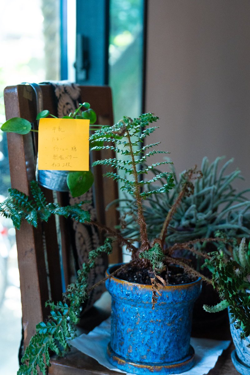 7/27 『アート・ワークショップと素描のスクール』vol.2
開催いたしました。

#齋藤美卯
#キンマキ 
#半島
#嶋津穂高
#鶴田美音
#MeMeM

instagram.com/p/DMrGX2dysvc/…