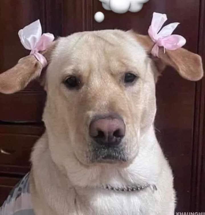Cuando me puse bonita para trabajar pero los Rs ya me hicieron enojar