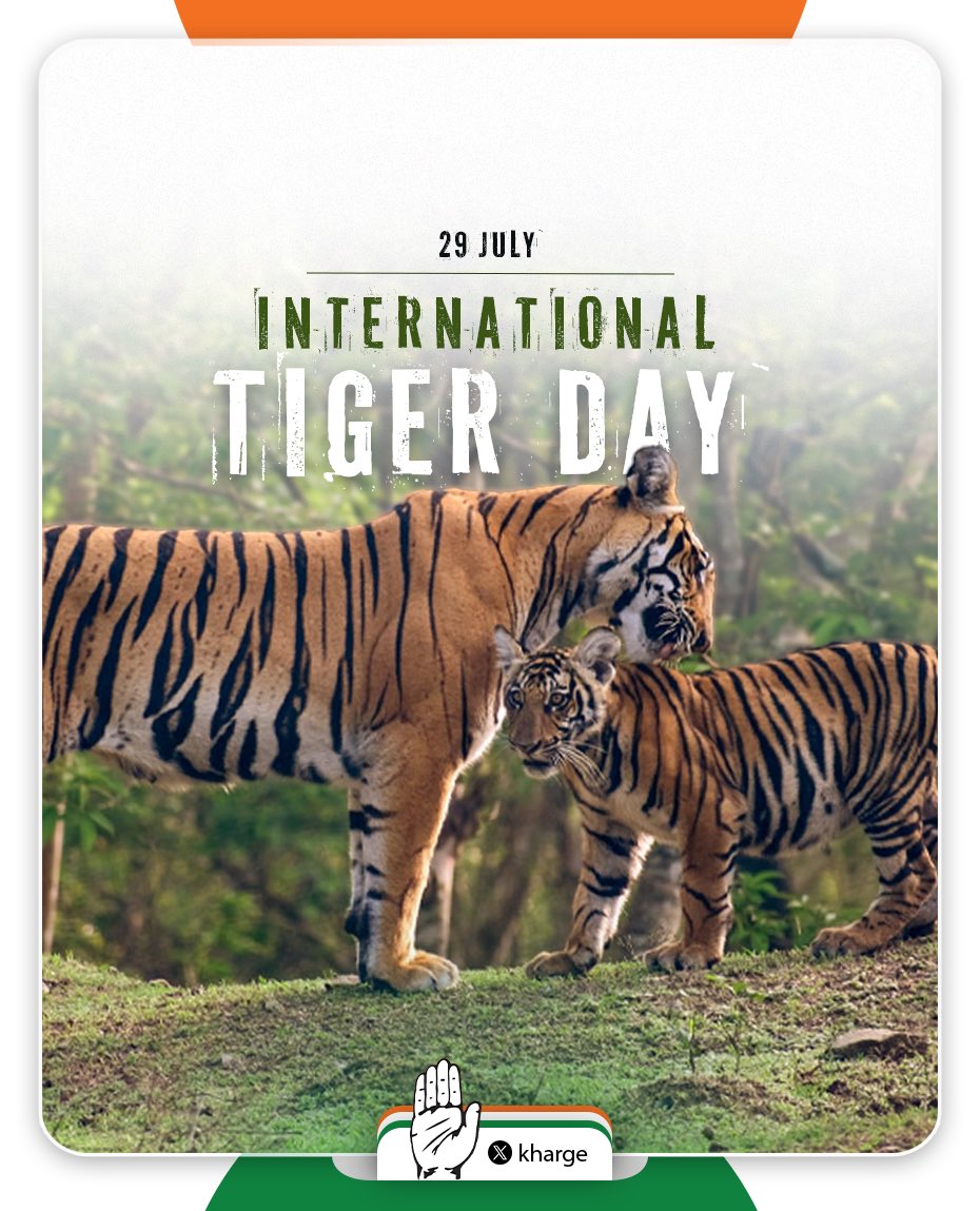 52 years ago, under the visionary leadership of Smt. Indira Gandhi, India launched Project Tiger, a pioneering conservation program that has achieved remarkable success in saving the tiger. 

This initiative wasn't solely focused on the big cats; it recognised the crucial link