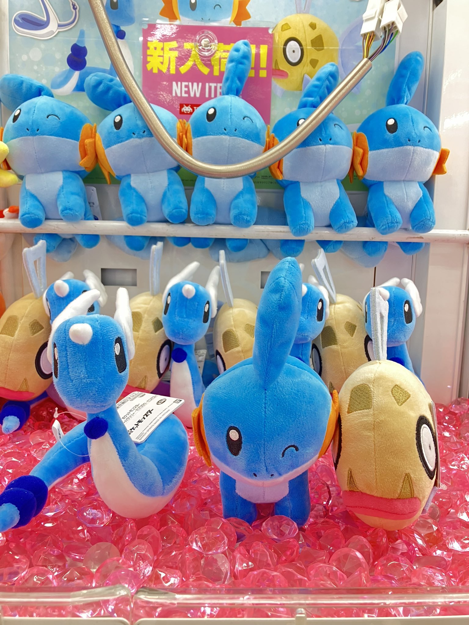 ポケモンタイム　ハクリュー　ぬいぐるみ TAITO STATION【公式】タイステ | 👾 ポケットモンスター