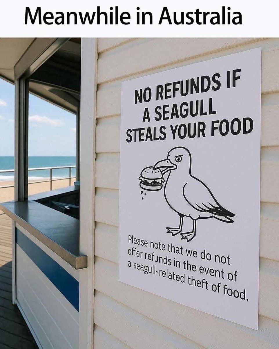 Meanwhile in Australia - No wonder tourists think everything in Australia is either going to bite, kill, or attack you.🤣 🇦🇺
