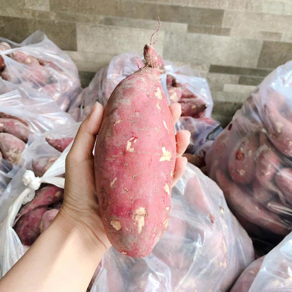 VSF202's tweet image. 🍠 Viet Seafarm Sweet Potatoes – Purple &amp;amp; Yellow
📏 Size: 10–15 cm | 80–500g
📦 10–20kg cartons | Delivery in 7–10 days
📩 export2@vietseafarm.com.vn | 📞 +84 347 499 738
#SweetPotato #VietnamExport #RootVegetables