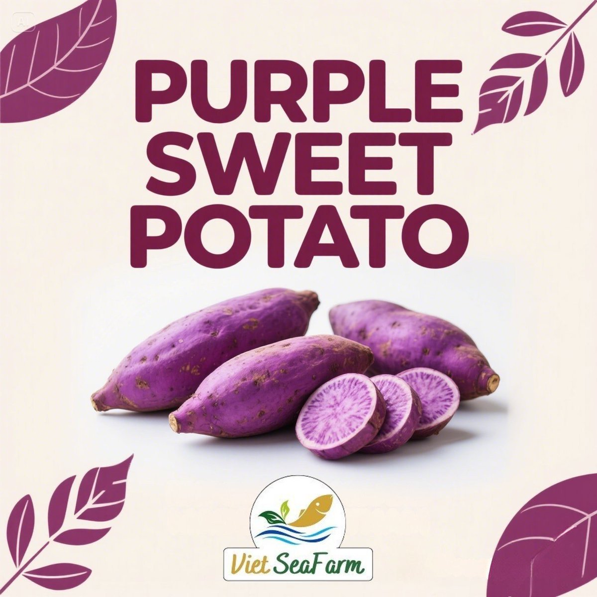 VSF202's tweet image. 🍠 Viet Seafarm Sweet Potatoes – Purple &amp;amp; Yellow
📏 Size: 10–15 cm | 80–500g
📦 10–20kg cartons | Delivery in 7–10 days
📩 export2@vietseafarm.com.vn | 📞 +84 347 499 738
#SweetPotato #VietnamExport #RootVegetables