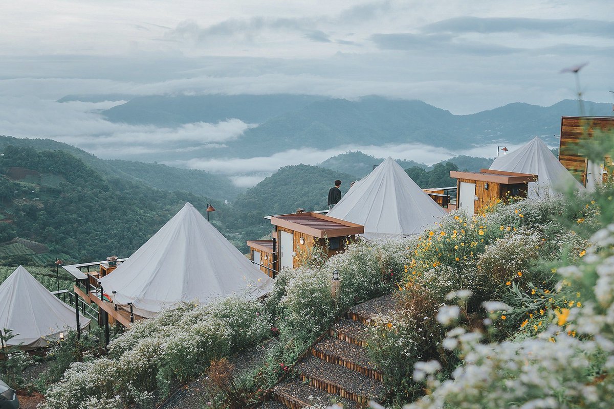 Bom 🏕️ tweet media