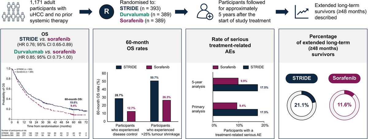 HIMALAYA is the 1st phase III trial to show 5-year OS in unresectable HCC!
regular Durva/single Tremelimumab (Stride) 5-yr OS 19.6% vs 9.4% w/ Sorafenib
✅ Durable benefit
✅ No new late toxicities
🔹Benefit seen regardless of RECIST response
#LiverCancer #HCC #Immunotherapy