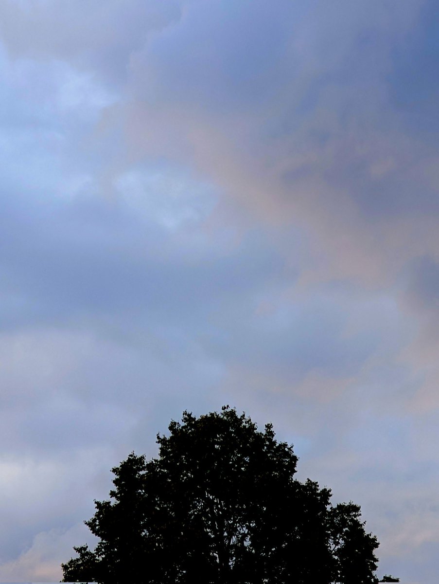 Morgenlicht. Bonn. 29. Juli 2025.