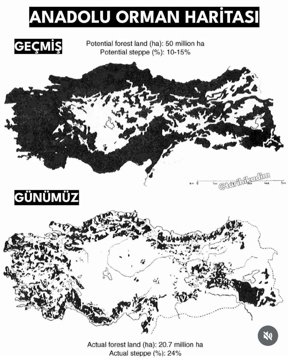 _Kurtkatun's tweet image. Anayasa Madde 169:
Yanan ormanların yerinde yeni orman yetiştirilir, bu yerlerde başka çeşit tarım ve hayvancılık yapılamaz. Ormanlara zarar verebilecek hiçbir faaliyet ve eyleme müsaade edilemez.