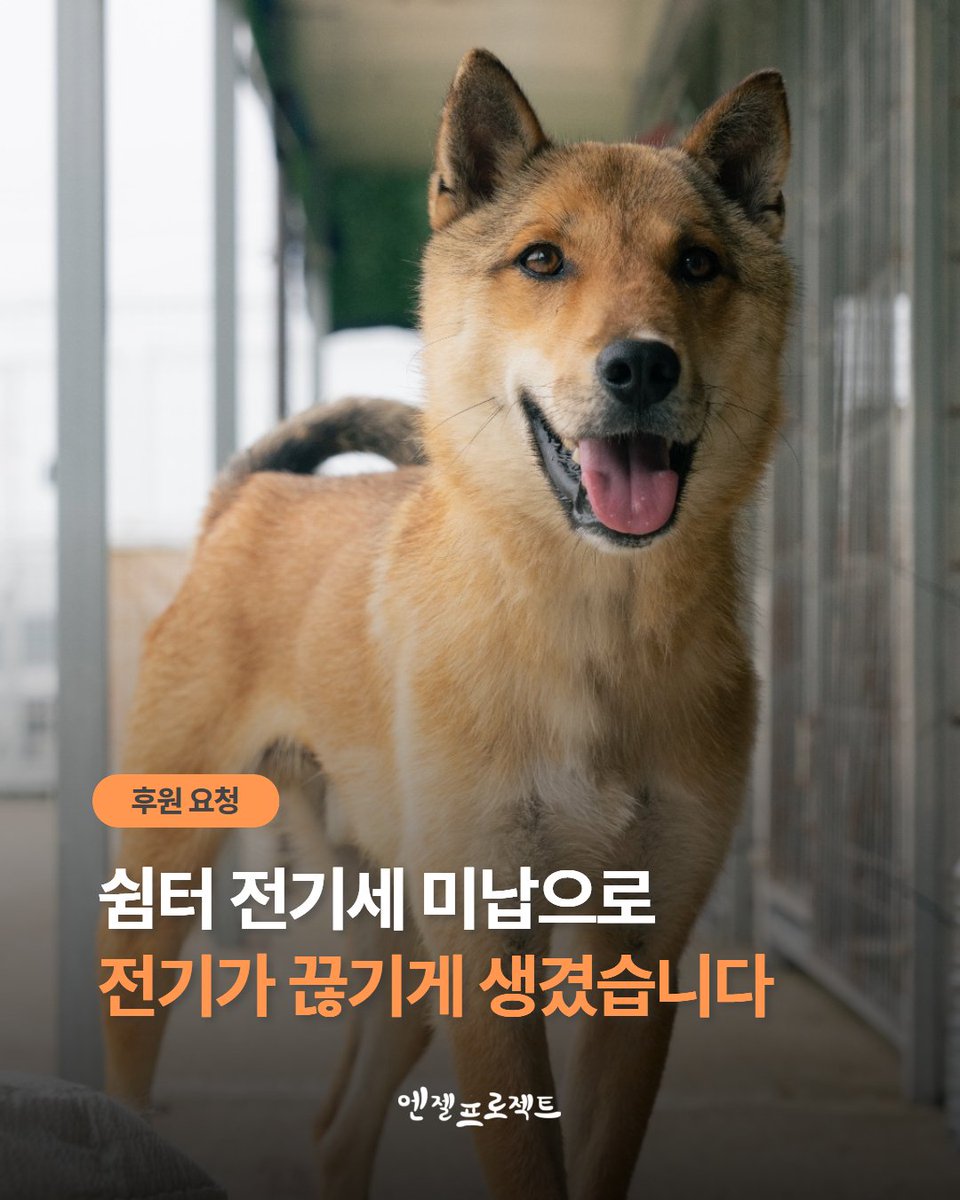 Hyeyounkim3 tweet picture