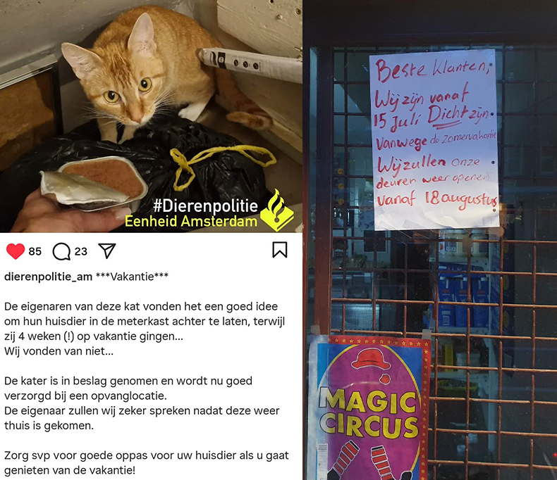 We hebben bevestiging dat het de kat is die we benoemen in eerdere posts. Het diertje werd dagelijks 10 uur opgesloten in de meterkast. De kat mocht daar überhaupt niet zijn want dieren houden in een bedrijf dat voedsel verkoopt is verboden. Hopelijk haalt hij geen andere kat 🙏