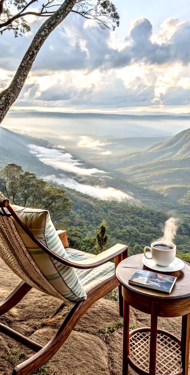 Good morning 🌞☀️