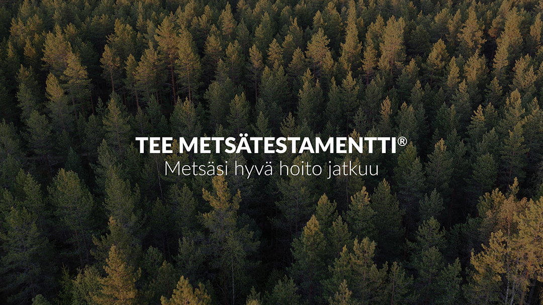 mmsaatio's tweet image. Mikäli metsätilallesi ei ole jatkajaa, on mahdollista lahjoittaa metsäomaisuutesi tai osa siitä metsäalan tai alan osaajien hyväksi. Voit lahjoittaa jo elinaikanasi tai testamenttina. Elinaikainen lahjoitus on vaivattomin tapa. Metsämiesten Säätiö kuuntelee toiveesi metsiesi…