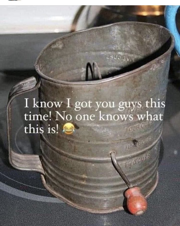 Suzie rizzio tweet media