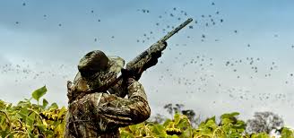 CrowHunterTV's tweet photo. Two Day Dove Hunt W/ Dinner Included - Rocky Ford, CO 
https://t.co/q8NTdAUXdX https://t.co/yPoGuINYbq
