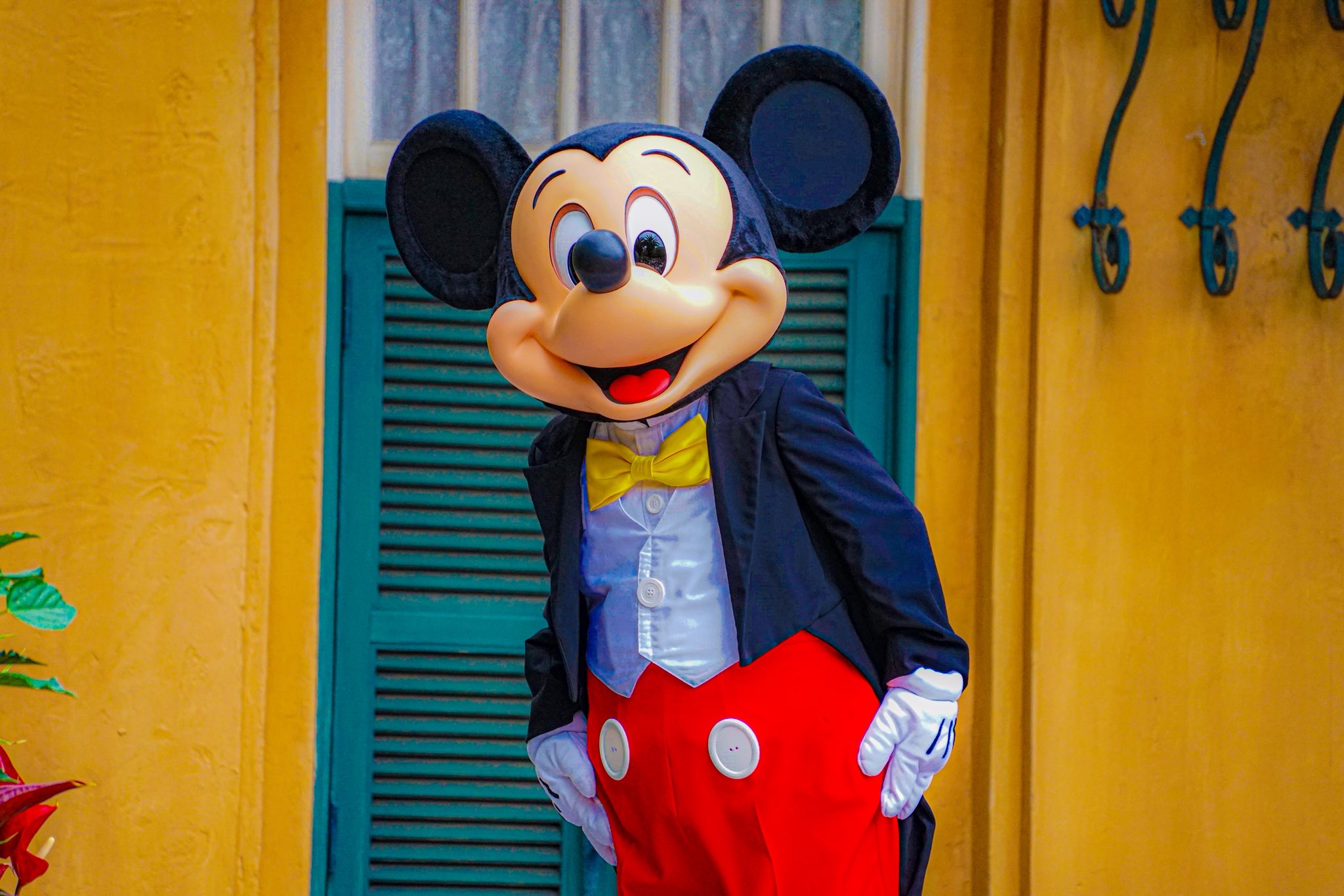 ディズニー好き♡ みんなはディズニー好き？