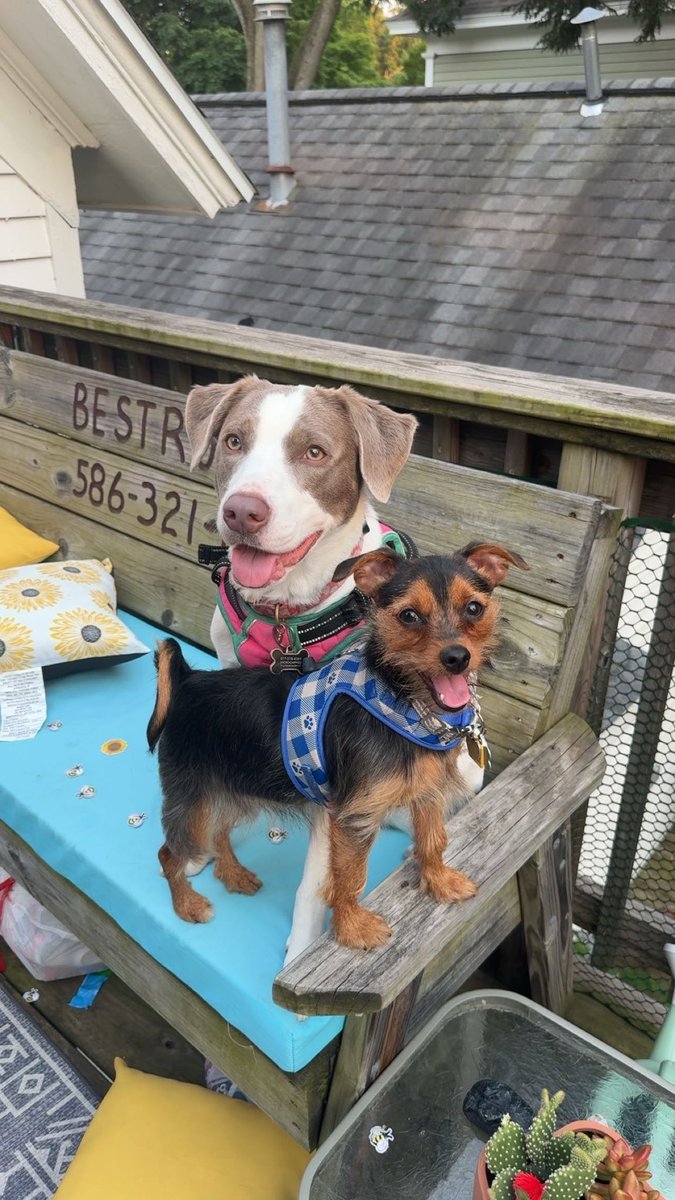 Shawn Porter Jr tweet media